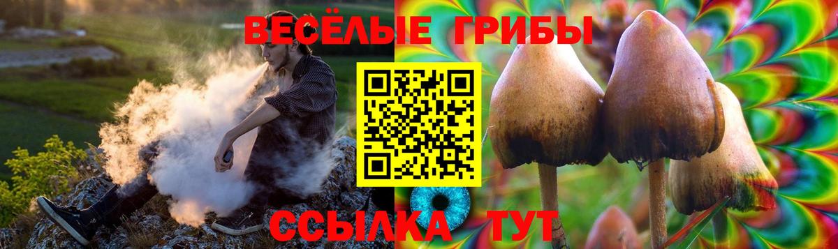 Галлюциногенные грибы мицелий Усть-Илимск