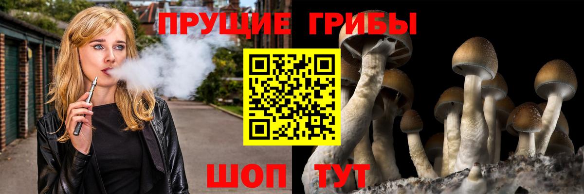 Галлюциногенные грибы GOLDEN TEACHER  Вход с VPN  Усть-Илимск 